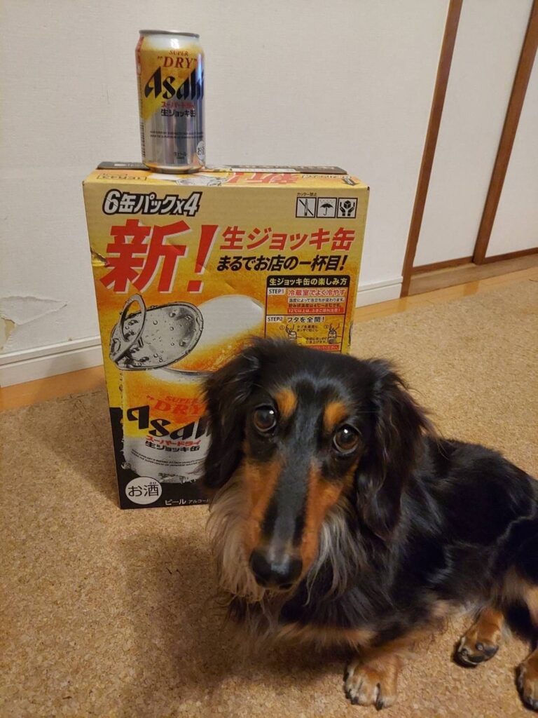 なりひらくん元の写真